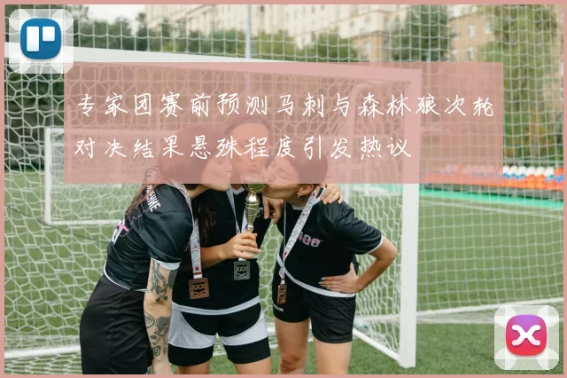 专家团赛前预测马刺与森林狼次轮对决结果悬殊程度引发热议